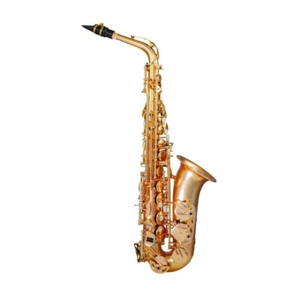 Trevor James | 374E-KKF Evo Alto Saxophone | Gold Frost Finish